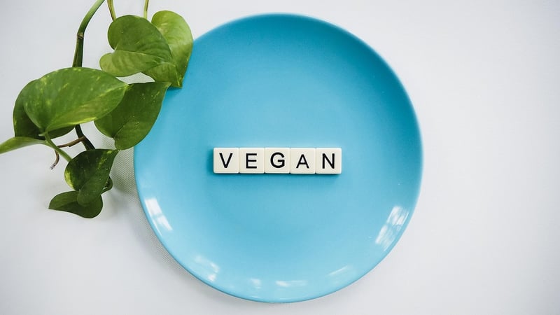 Plant-Based Diet